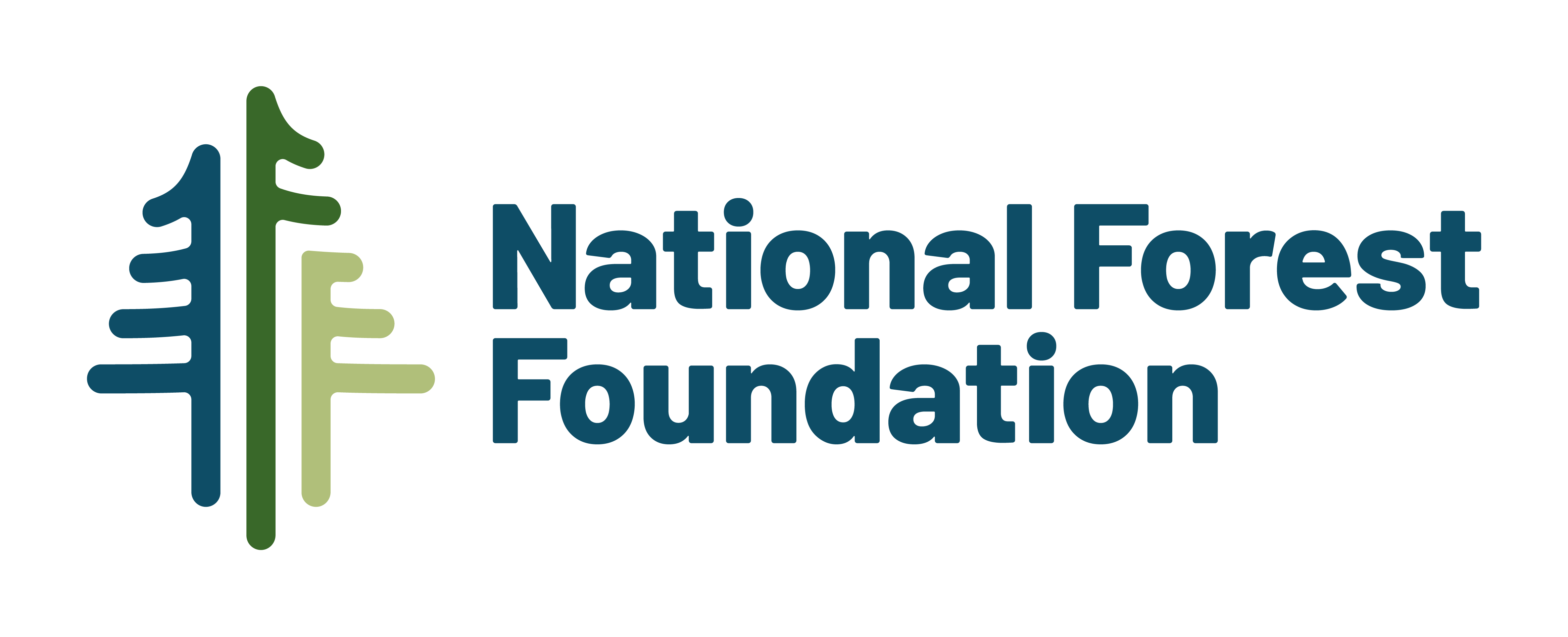 NFF Logo